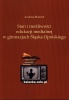 Stan i możliwości edukacji medialnej w gimnazjach Śląska Opolskiego
